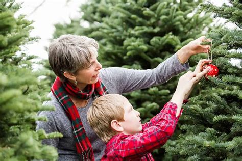 Finding Magic in Nature: The Wonders of Growing a Christmas Tree